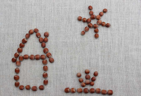 House built child of hazelnuts on a linen clothの写真素材