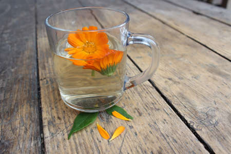 Calendula flower in a glass cup. Tincture.の写真素材