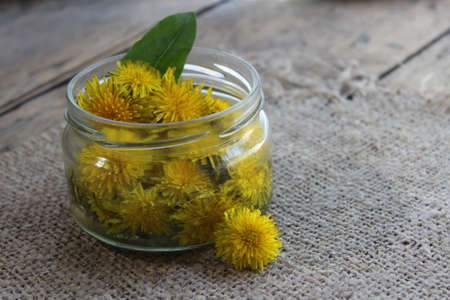 Yellow dandelion flower in a glass jar with water nafone boards and Llano tissue. Tinctureの写真素材