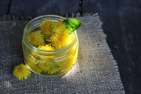 Yellow dandelion flower in a glass jar with water nafone boards and Llano tissue. Tinctureの写真素材