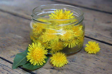 Yellow dandelion flower in a glass jar with water on the background of the wooden planks. Tinctureの写真素材