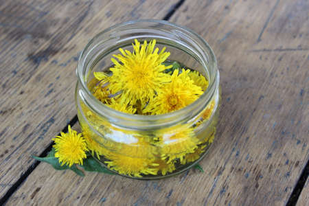 Yellow dandelion flower in a glass jar with water on the background of the wooden planks. Tinctureの写真素材