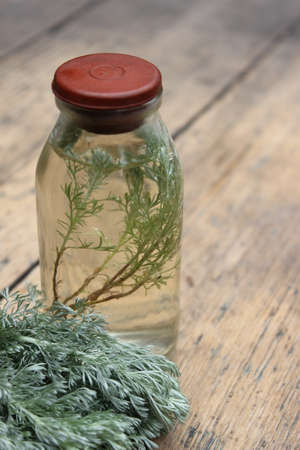 Sprig plant Shepherd's purse, Capsella bursa-pastoris, in a glass bottle. Tincture.Wormwood.の写真素材