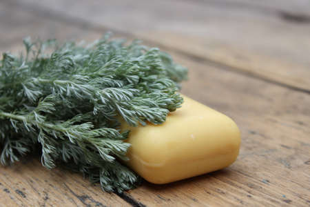 Natural handmade soap and tarragon on a wooden boardの写真素材