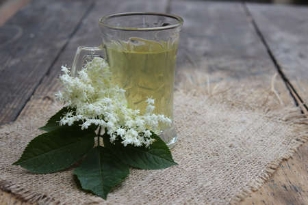 Glass cup with handle with tea and elderberry flowersの写真素材