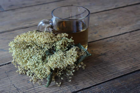 Glass of tea with a therapeutic dry elderの写真素材
