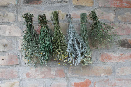 Tying dry herbs on brick wall background.の写真素材
