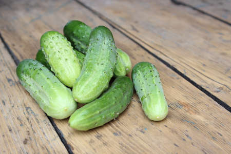 Scattered green cucumbers on background of wooden planksの写真素材