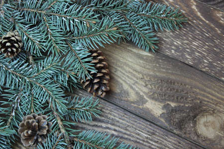 Sprig of Christmas tree with pine cones on a wooden boardの写真素材