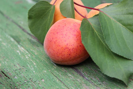 Apricots on wooden boardsの写真素材