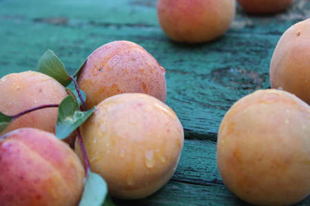 Apricots on wooden boardsの写真素材