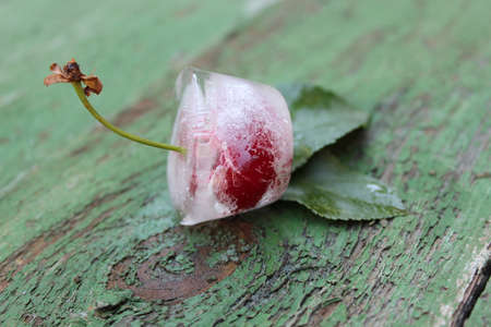 Cherries in ice. Frozen fruits.の写真素材