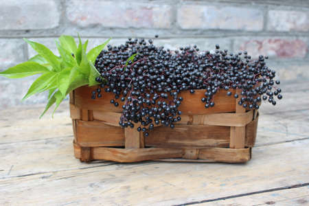 Elderberry in a wicker basket