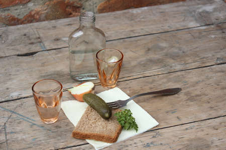 Russian vodka and traditional snackの写真素材