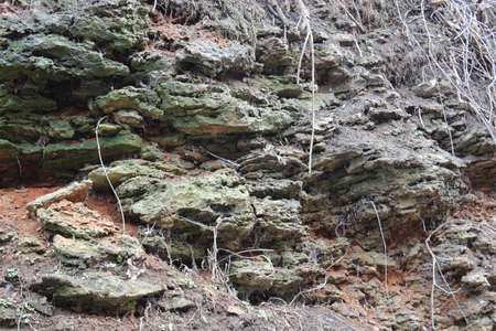 Background of sea shell rock on the seashore