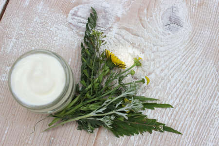 Cosmetic cream with chamomile flowersの写真素材