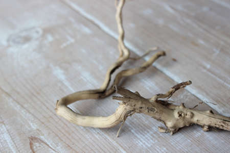 Dry branch on the background of boards