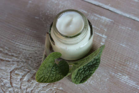 Organic face cream with sprig of celandineの写真素材
