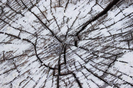 Old wood background