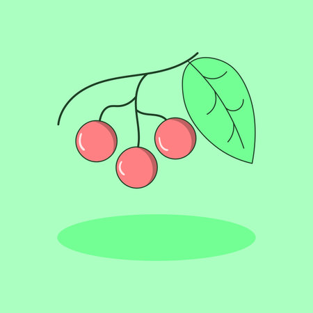 vector illustration of a bundle cherry fruitのイラスト素材