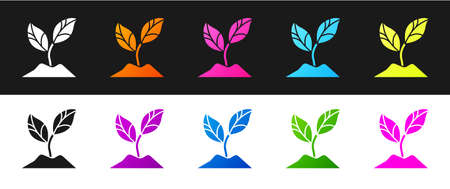 Set Plant icon isolated on black and white background. Seed and seedling. Leaves sign. Leaf nature. Vector Illustrationのイラスト素材