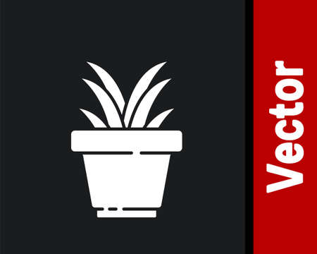 White Flower in pot icon isolated on black background. Plant growing in a pot. Potted plant sign.  Vector Illustrationのイラスト素材