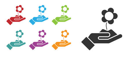 Black Hand holding flower icon isolated on white background. Seed and seedling. Planting sapling. Ecology concept. Set icons colorful. Vector Illustrationのイラスト素材