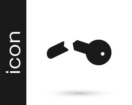 Grey Broken key icon isolated on white background. Vector Illustration.のイラスト素材