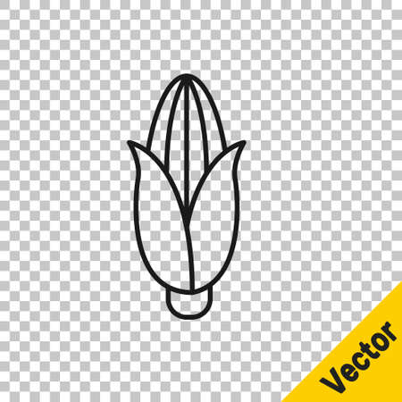 Black line Corn icon isolated on transparent background. Vector Illustrationのイラスト素材