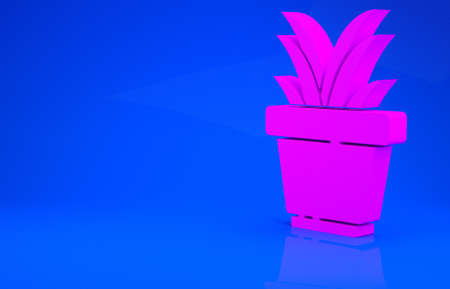 Pink Plant in pot icon isolated on blue background. Plant growing in a pot. Potted plant sign. Minimalism concept. 3d illustration. 3D renderの写真素材