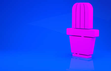 Pink Cactus and succulent in pot icon isolated on blue background. Plant growing in a pot. Potted plant sign. Minimalism concept. 3d illustration. 3D renderの写真素材