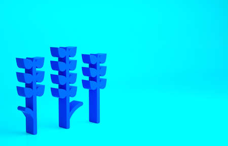 Blue Cereals set with rice, wheat, corn, oats, rye, barley icon isolated on blue background. Ears of wheat bread symbols. Minimalism concept. 3d illustration 3D renderの写真素材