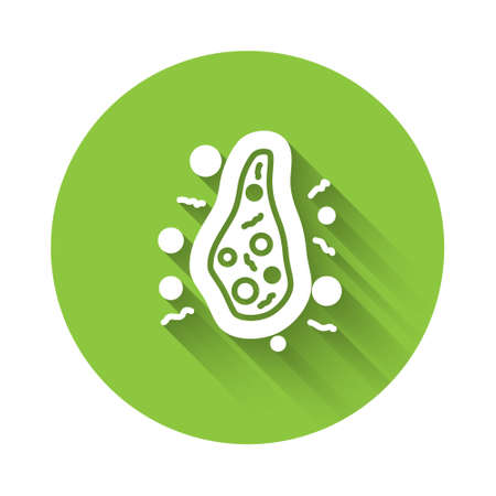 White Bacteria icon isolated with long shadow. Bacteria and germs, microorganism disease causing, cell cancer, microbe, virus, fungi. Green circle button. Vectorのイラスト素材