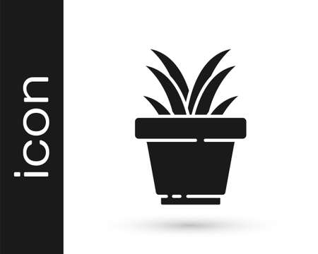 Grey Flower in pot icon isolated on white background. Plant growing in a pot. Potted plant sign. Vector Illustrationのイラスト素材
