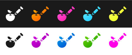Set Genetically modified apple icon isolated on black and white background. GMO fruit. Syringe being injected to apple. Vectorのイラスト素材