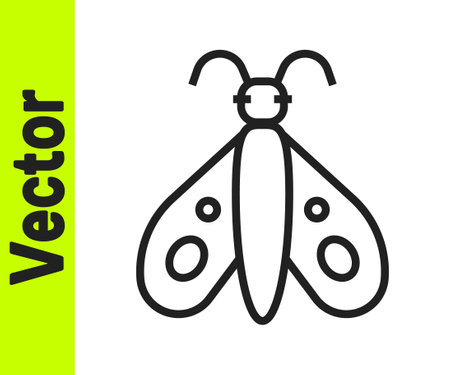 Black line Butterfly icon isolated on white background. Vectorのイラスト素材