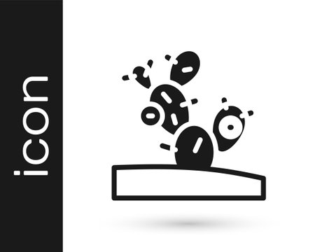 Black Cactus icon isolated on white background. Vectorのイラスト素材