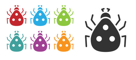 Black Ladybug icon isolated on white background. Set icons colorful. Vectorのイラスト素材