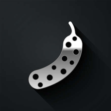 Silver Fresh cucumber icon isolated on black background. Long shadow style. Vectorのイラスト素材