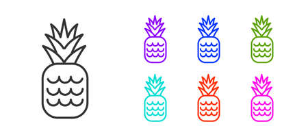 Black line Pineapple tropical fruit icon isolated on white background. Set icons colorful. Vectorのイラスト素材