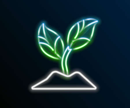 Glowing neon line Plant icon isolated on black background. Seed and seedling. Leaves sign. Leaf nature. Colorful outline concept. Vectorのイラスト素材
