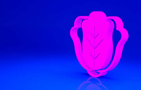 Pink Fresh cabbage vegetable icon isolated on blue background. Minimalism concept. 3d illustration 3D renderの写真素材