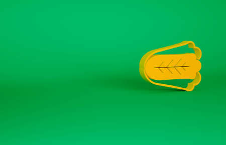 Orange Fresh cabbage vegetable icon isolated on green background. Minimalism concept. 3d illustration 3D renderの写真素材