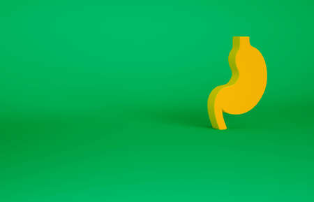 Orange Human stomach icon isolated on green background. Minimalism concept. 3d illustration 3D renderの写真素材
