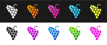 Set Grape fruit icon isolated on black and white background. Vectorのイラスト素材