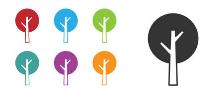 Black Tree icon isolated on white background. Forest symbol. Set icons colorful. Vectorのイラスト素材