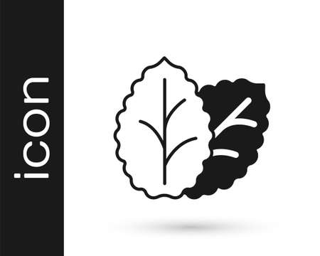 Black Tobacco leaf icon isolated on white background. Tobacco leaves. Vectorのイラスト素材