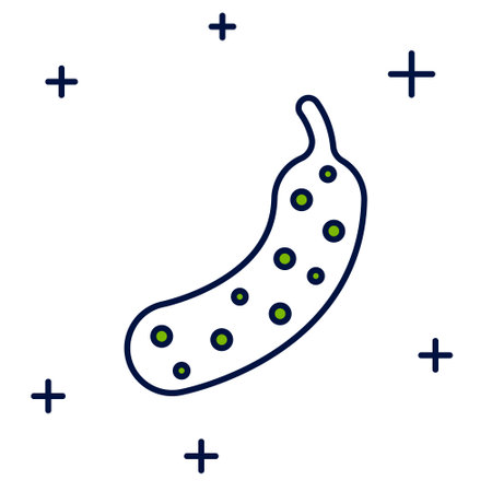 Filled outline Fresh cucumber icon isolated on white background. Vectorのイラスト素材