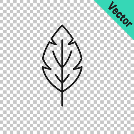 Black line Leaf icon isolated on transparent background. Leaves sign. Fresh natural product symbol. Vectorのイラスト素材