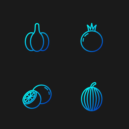 Set line Watermelon, Orange fruit, Garlic and Tomato. Gradient color icons. Vectorのイラスト素材
